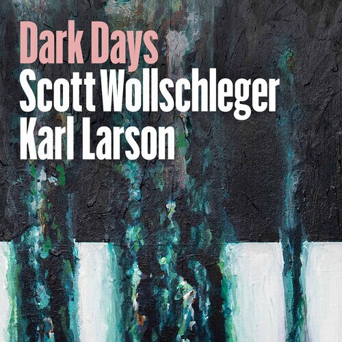 CD диск Wollschleger / Larson: Dark Days
CD диск Wollschleger / Larson: Dark Days