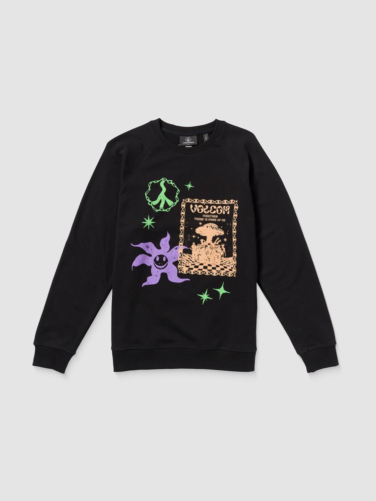 Свитер Volcom Fa F Rygalski Sweater, black
Свитер Volcom Fa F Rygalski Sweater, black