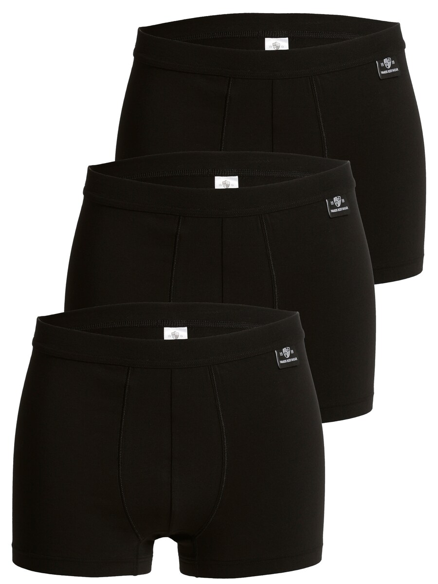 Боксеры Haasis Bodywear, черный
Боксеры Haasis Bodywear, черный