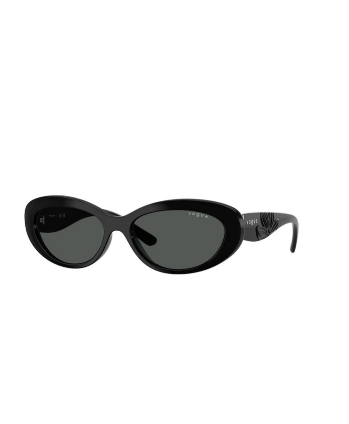 Солнцезащитные очки Vo5630S w44/87 Vogue, черный
Солнцезащитные очки Vo5630S w44/87 Vogue, черный