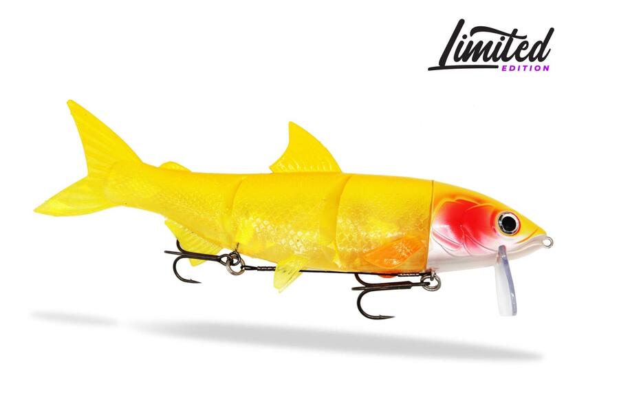 FISHINGGHOST Мягкая приманка - Renky One 25 см – Orange Crystal
FISHINGGHOST Мягкая приманка - Renky One 25 см – Orange Crystal