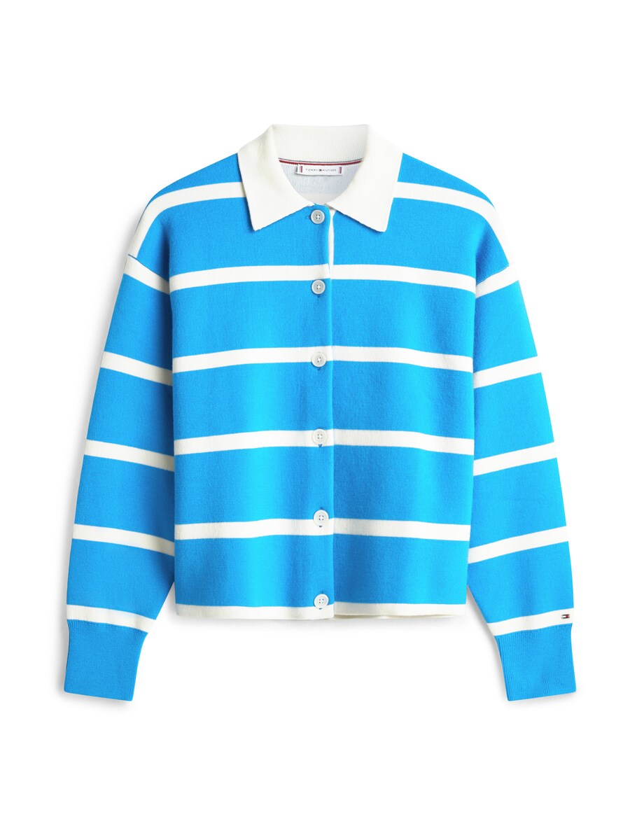 Вязаный кардиган TOMMY HILFIGER, небесно-голубой
Вязаный кардиган TOMMY HILFIGER, небесно-голубой