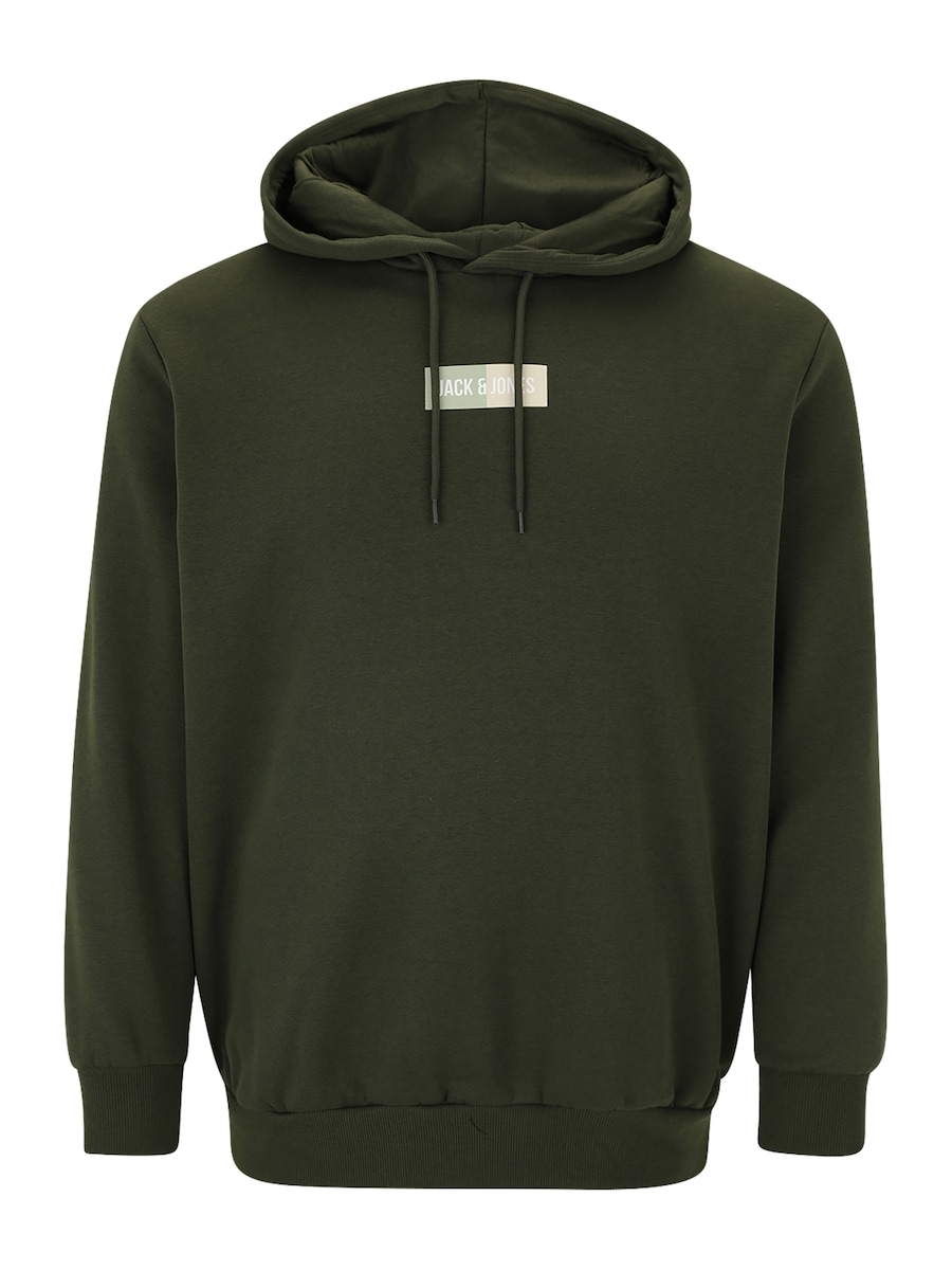 Толстовка Jack & Jones Plus JJPAN, темно-зеленый
Толстовка Jack & Jones Plus JJPAN, темно-зеленый