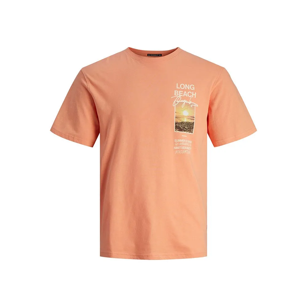 Футболка Jack & Jones Aruba Photo, оранжевый
Футболка Jack & Jones Aruba Photo, оранжевый