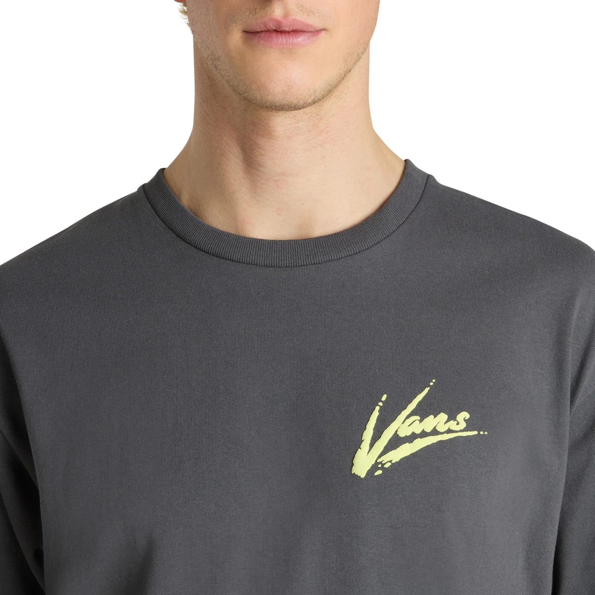 Футболка мужская Brush Script свободного кроя Vans, серый
Футболка мужская Brush Script свободного кроя Vans, серый