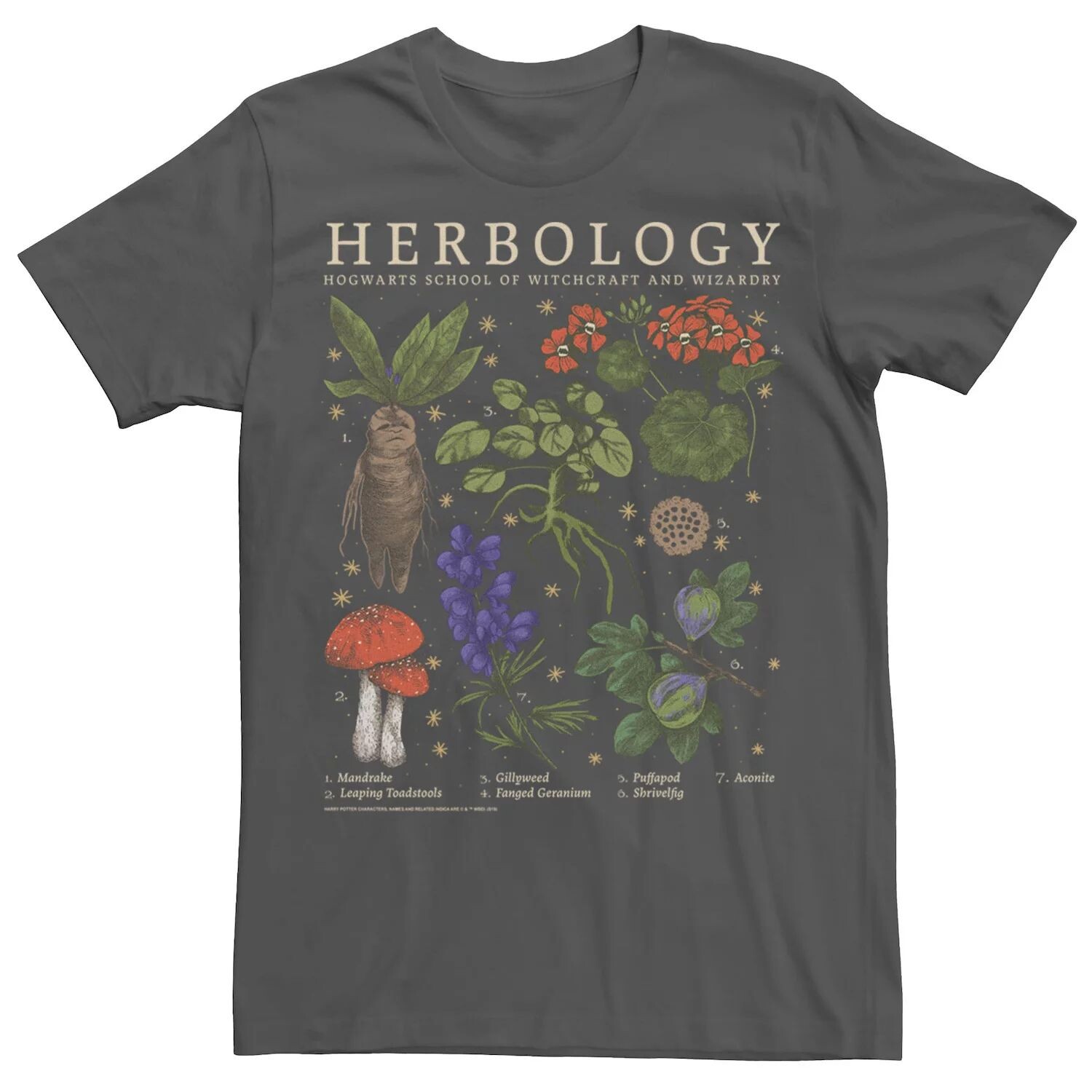 Мужская футболка с сеткой Harry Potter Herbology Herb Reference Licensed Character
Мужская футболка с сеткой Harry Potter Herbology Herb Reference Licensed Character