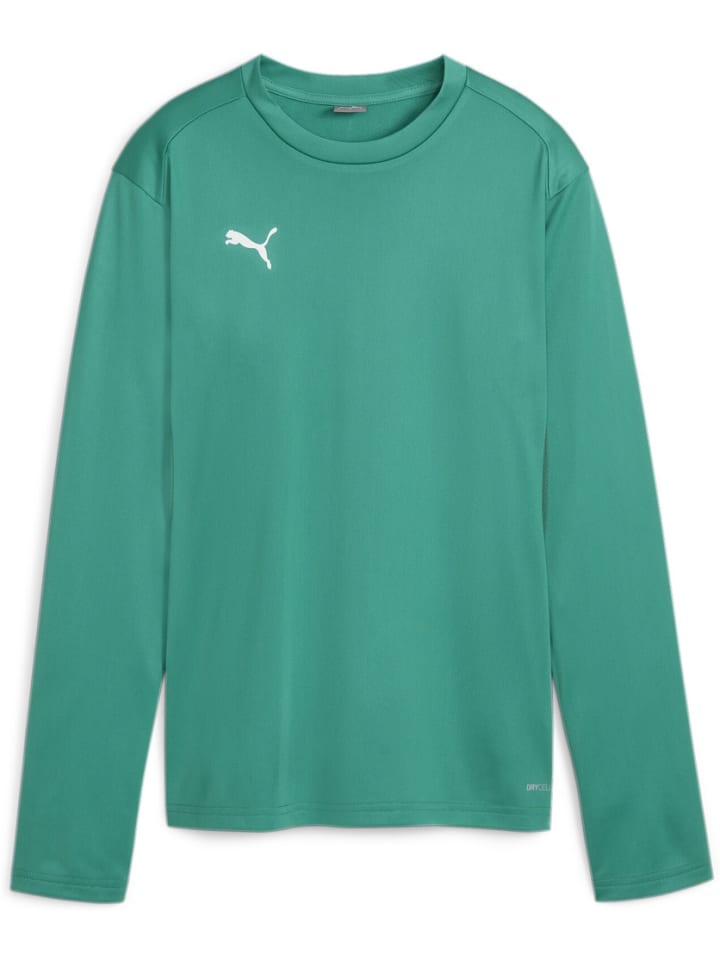 Свитер TeamGoal Training Sweat Wmn зеленого цвета Puma
Свитер TeamGoal Training Sweat Wmn зеленого цвета Puma