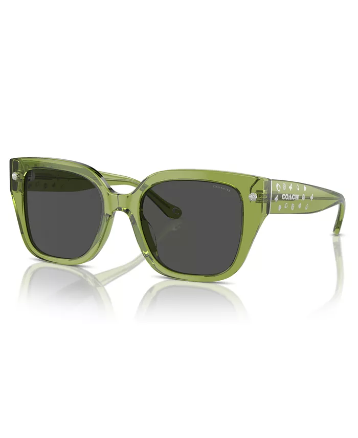 Женские солнцезащитные очки, Cr611 Hc8392U COACH, серый
Женские солнцезащитные очки, Cr611 Hc8392U COACH, серый