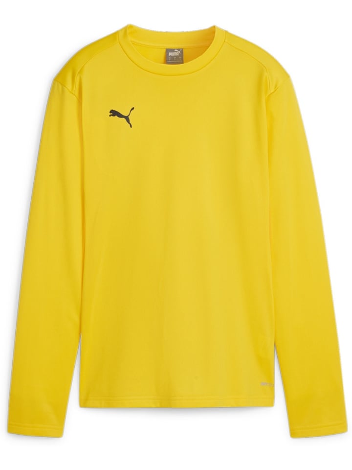 Свитер TeamGoal Training Sweat Wmn желтого цвета Puma
Свитер TeamGoal Training Sweat Wmn желтого цвета Puma