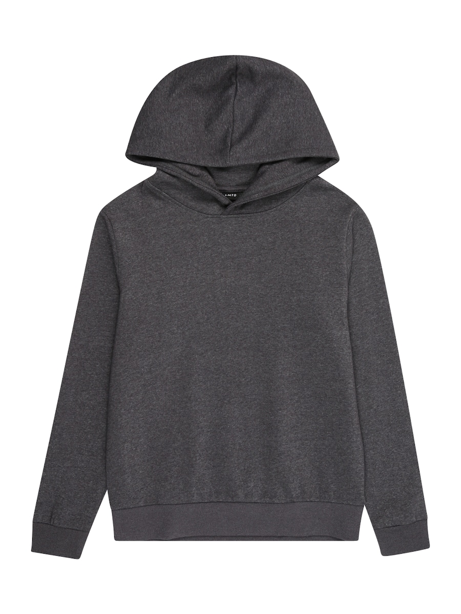 Толстовка LMTD NLNNIZU, графитовый
Толстовка LMTD NLNNIZU, графитовый