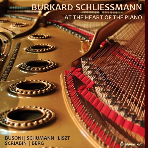 CD диск Busoni / Schliessmann: At the Heart of the Piano
CD диск Busoni / Schliessmann: At the Heart of the Piano