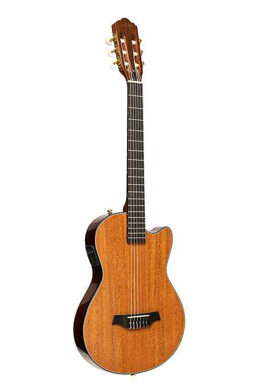 Акустическая гитара ANGEL LOPEZ 4/4 cutaway electric classical guitar with solid body natural colour
Акустическая гитара ANGEL LOPEZ 4/4 cutaway electric classical guitar with solid body natural colour