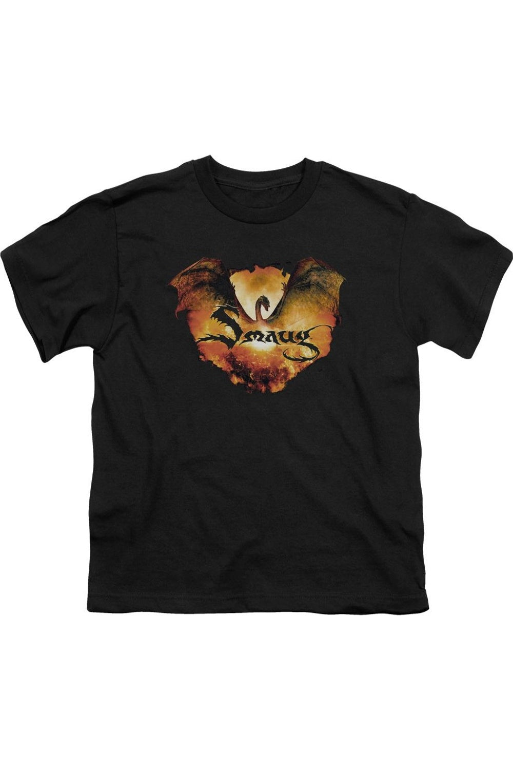 Футболка с коротким рукавом для детей Hobbit Reign In Flame Gildan, черный
Футболка с коротким рукавом для детей Hobbit Reign In Flame Gildan, черный