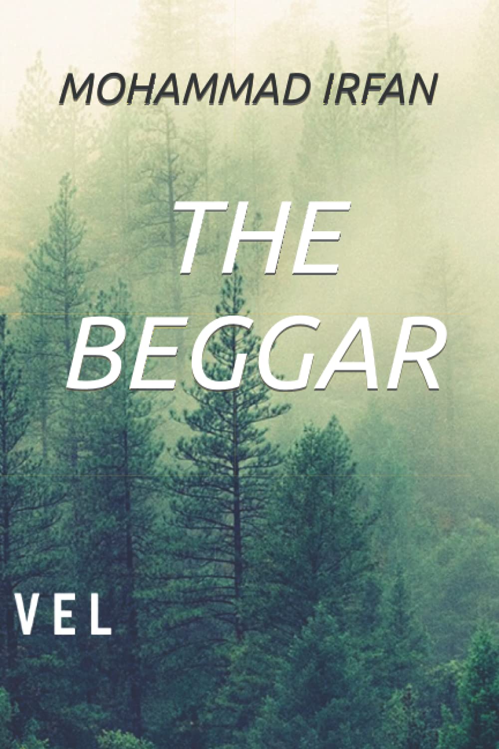 THE BEGGAR (Independently published)
THE BEGGAR (Independently published)
