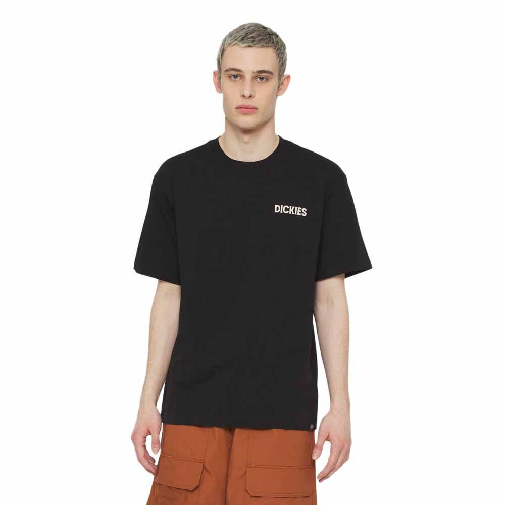 Футболка с коротким рукавом Dickies Beach, черный
Футболка с коротким рукавом Dickies Beach, черный