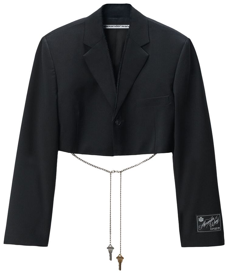 Укороченный блейзер Alexander Wang с цепочкой, черный
Укороченный блейзер Alexander Wang с цепочкой, черный
