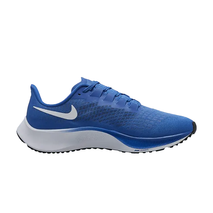 Кроссовки Nike Air Zoom Pegasus 37 TB, Game Royal
Кроссовки Nike Air Zoom Pegasus 37 TB, Game Royal