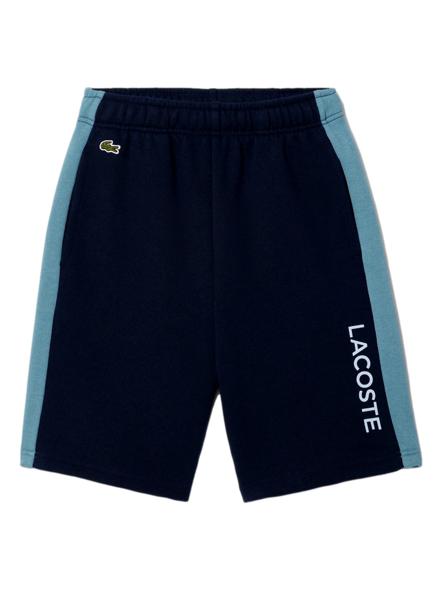 Свободные спортивные брюки LACOSTE, темно-синий
Свободные спортивные брюки LACOSTE, темно-синий