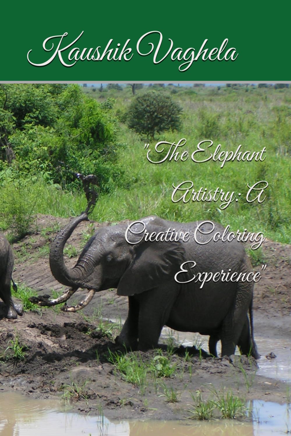 "The Elephant Artistry: A Creative Coloring Experience" (Independently published)
"The Elephant Artistry: A Creative Coloring Experience" (Independently published)