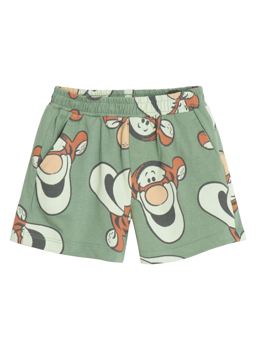 Обычные брюки Cool Club, цвет Green/Mint
Обычные брюки Cool Club, цвет Green/Mint