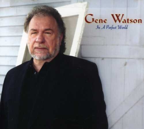 CD диск Watson, Gene: In a Perfect World
CD диск Watson, Gene: In a Perfect World