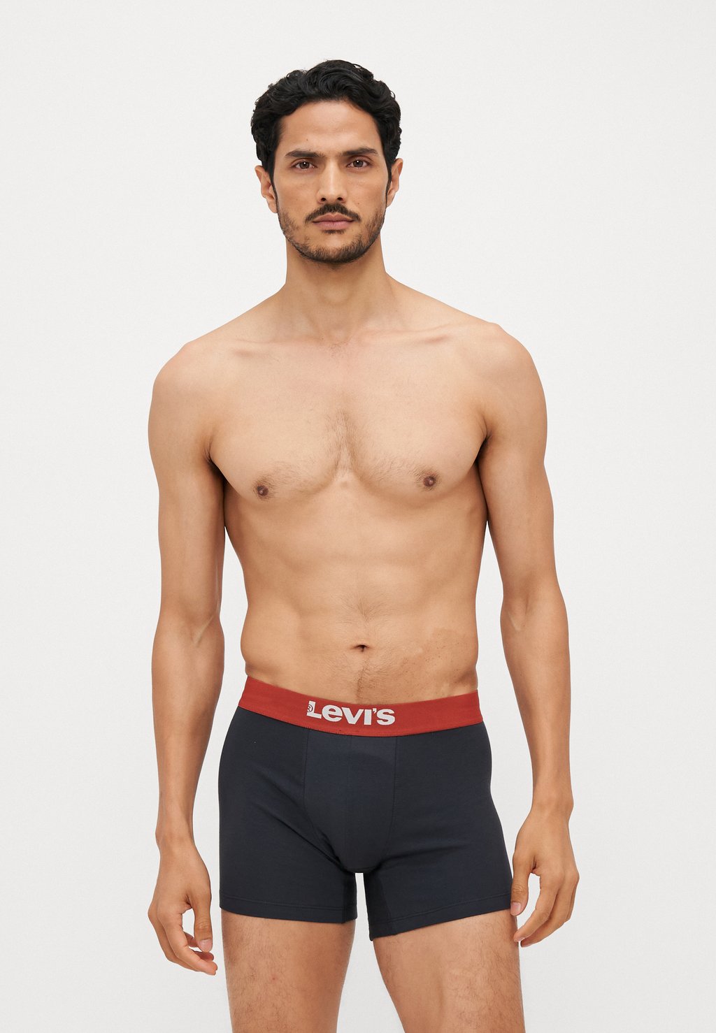 Боксеры MEN SOLID BASIC BRIEF 2 PACK Levi's, черный
Боксеры MEN SOLID BASIC BRIEF 2 PACK Levi's, черный