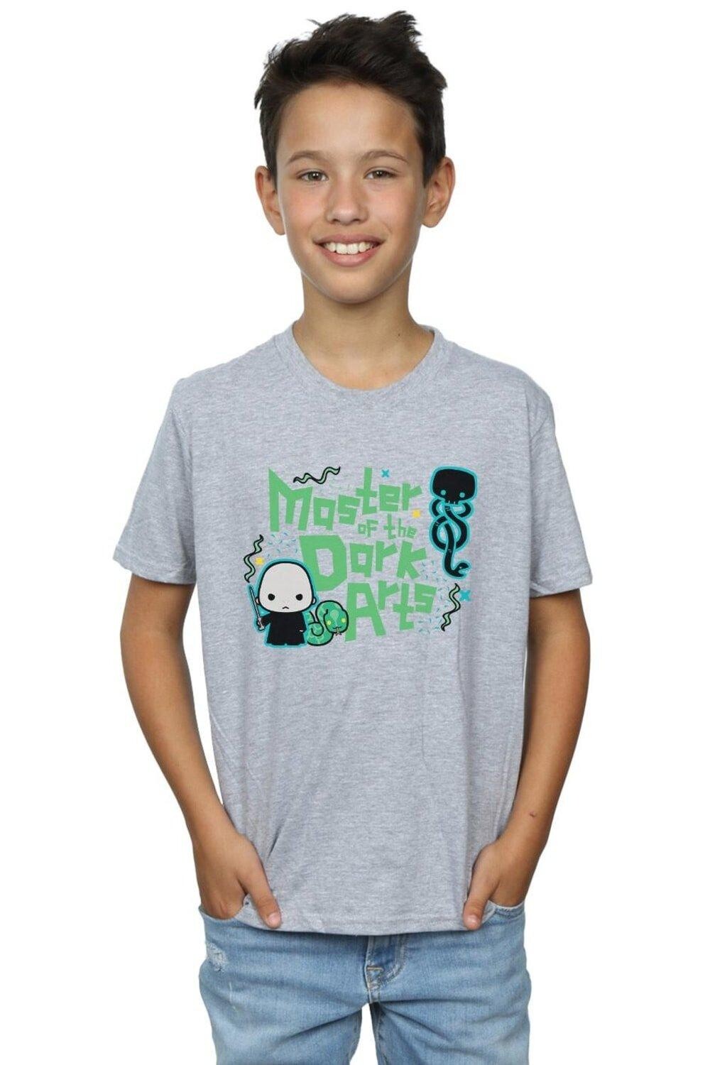 Футболка Волдеморта «Темные искусства» Harry Potter, серый
Футболка Волдеморта «Темные искусства» Harry Potter, серый