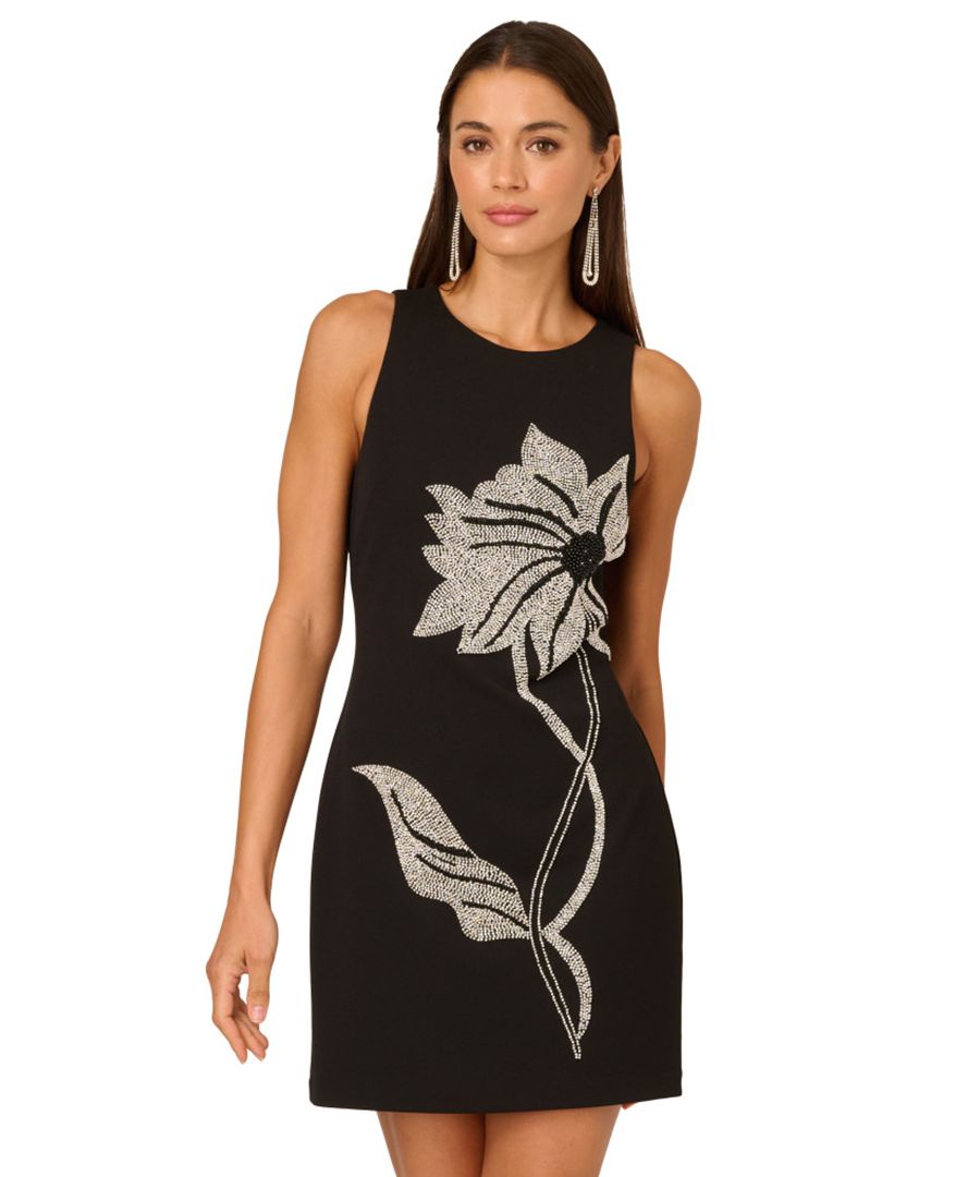 Женское короткое платье без рукавов, расшитое бисером Adrianna, Black
Женское короткое платье без рукавов, расшитое бисером Adrianna, Black