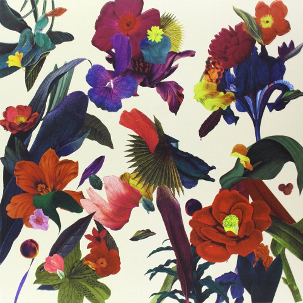 Виниловая пластинка LP Paracosm - Washed Out
Виниловая пластинка LP Paracosm - Washed Out