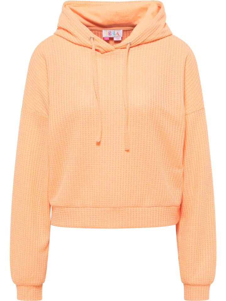 Толстовка IZIA, оранжевый
Толстовка IZIA, оранжевый