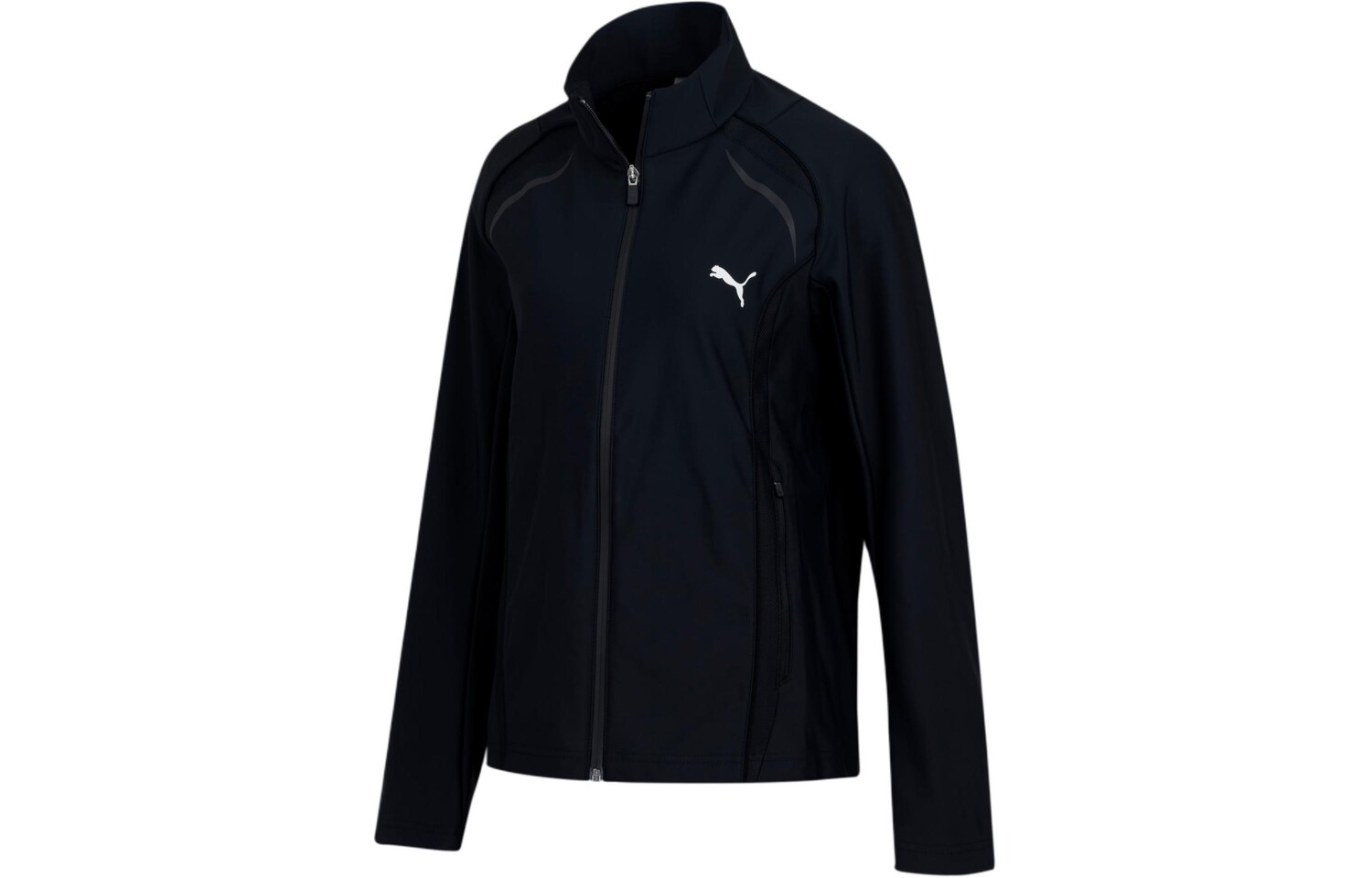 Куртка мужская черная Puma, черный
Куртка мужская черная Puma, черный