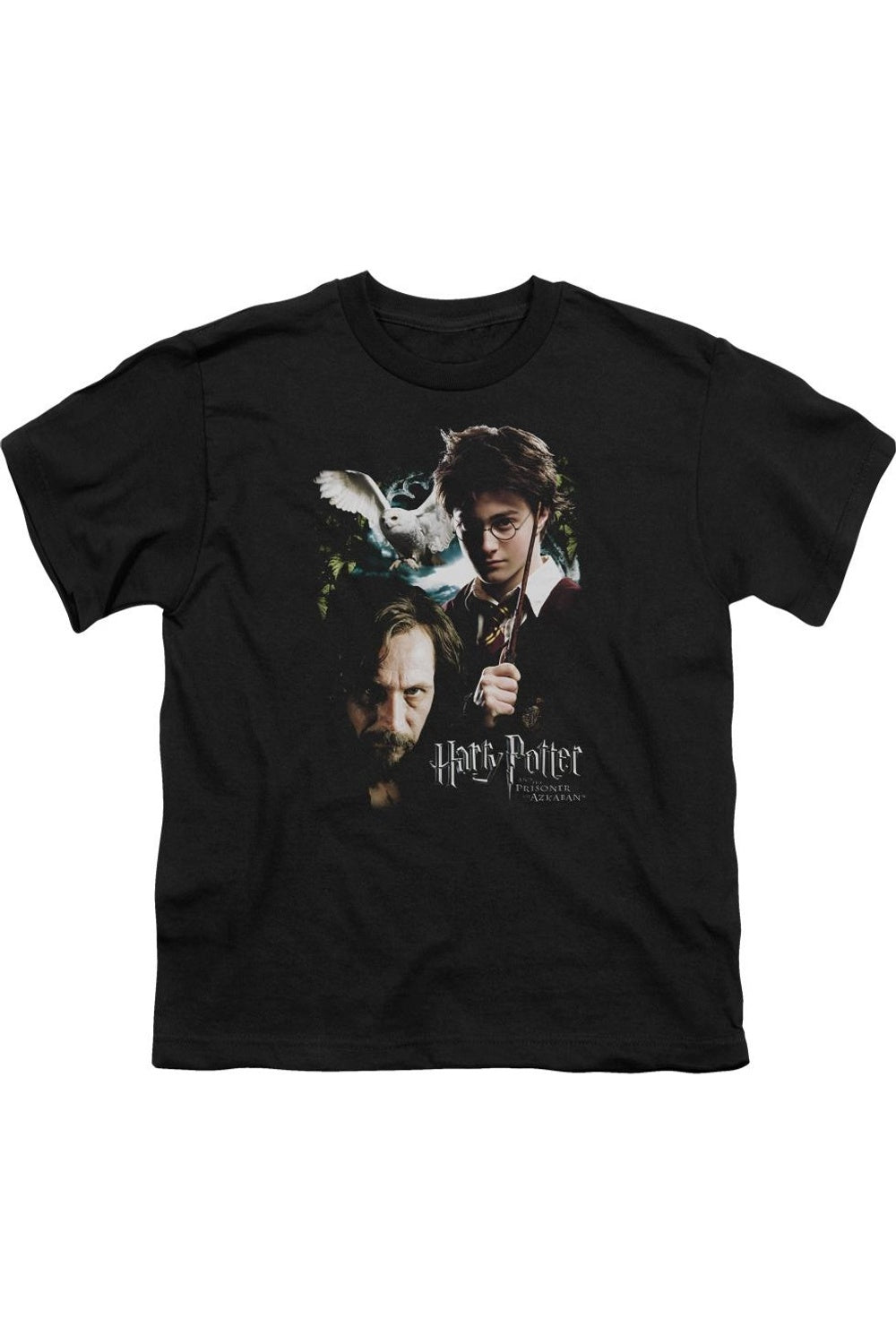 Футболка детская с коротким рукавом Harry Potter и Сириус Gildan, черный
Футболка детская с коротким рукавом Harry Potter и Сириус Gildan, черный