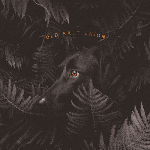 CD диск Old Salt Union: Where The Dogs Don't Bite
CD диск Old Salt Union: Where The Dogs Don't Bite