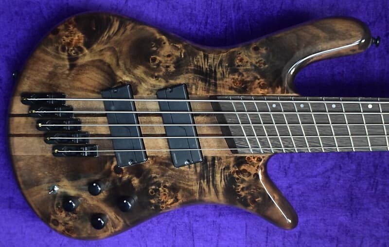 Басс гитара Spector NS Dimension 5, Faded Black Gloss / Wenge.
Басс гитара Spector NS Dimension 5, Faded Black Gloss / Wenge.