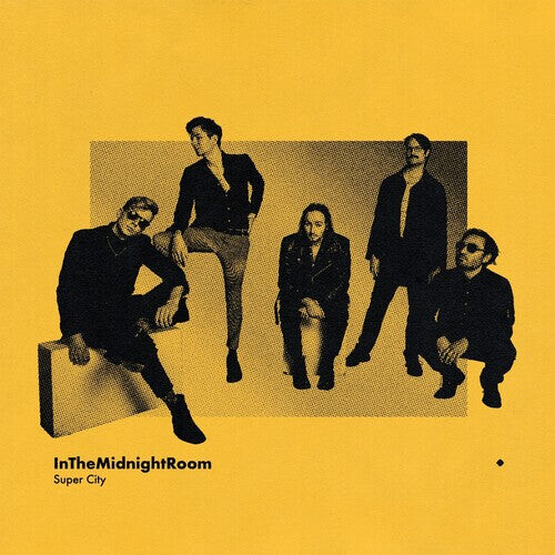 Виниловая пластинка Super City: In The Midnight Room
Виниловая пластинка Super City: In The Midnight Room