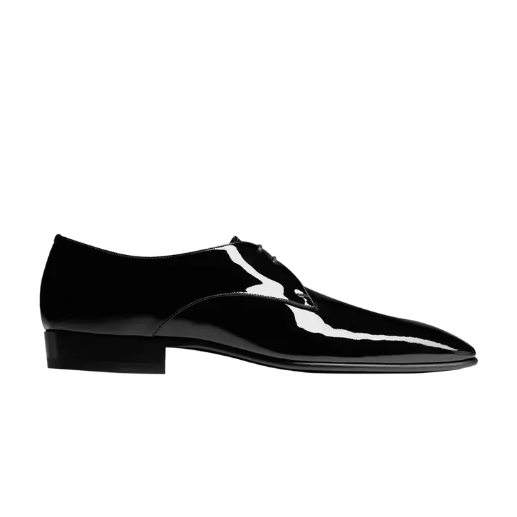 Кроссовки Saint Laurent Gabriel Derby 'Black', черный
Кроссовки Saint Laurent Gabriel Derby 'Black', черный