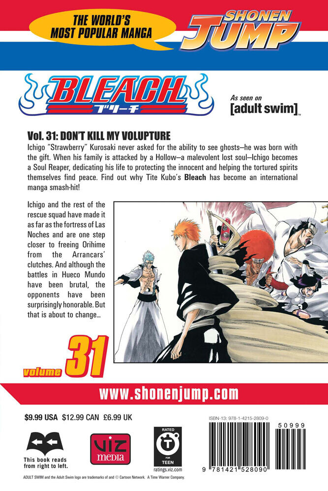Манга BLEACH Manga Volume 31
Манга BLEACH Manga Volume 31