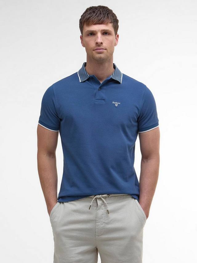 Хлопковая поло Denwick Barbour
Хлопковая поло Denwick Barbour