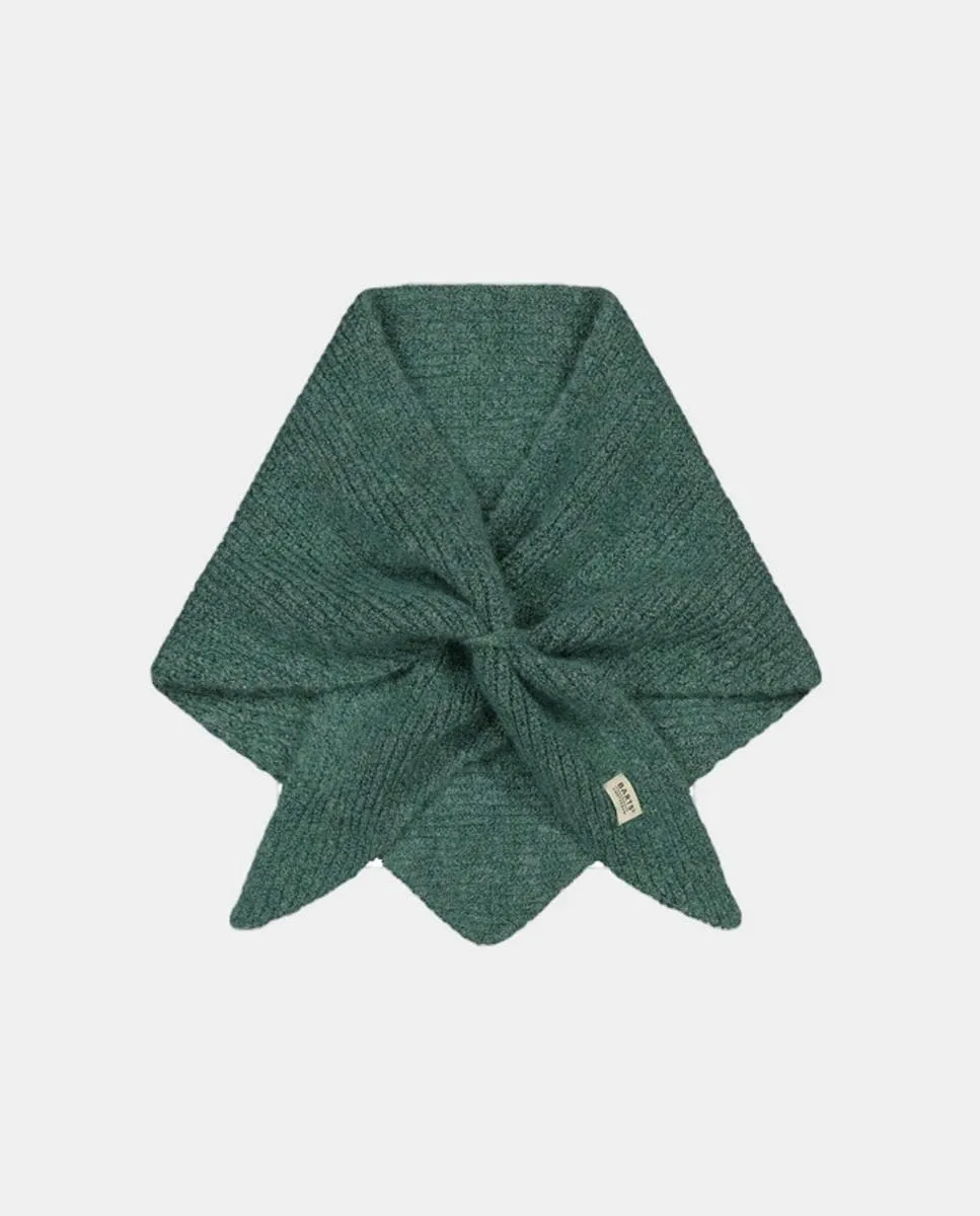 Обложка Neolana Barts, зеленый
Обложка Neolana Barts, зеленый