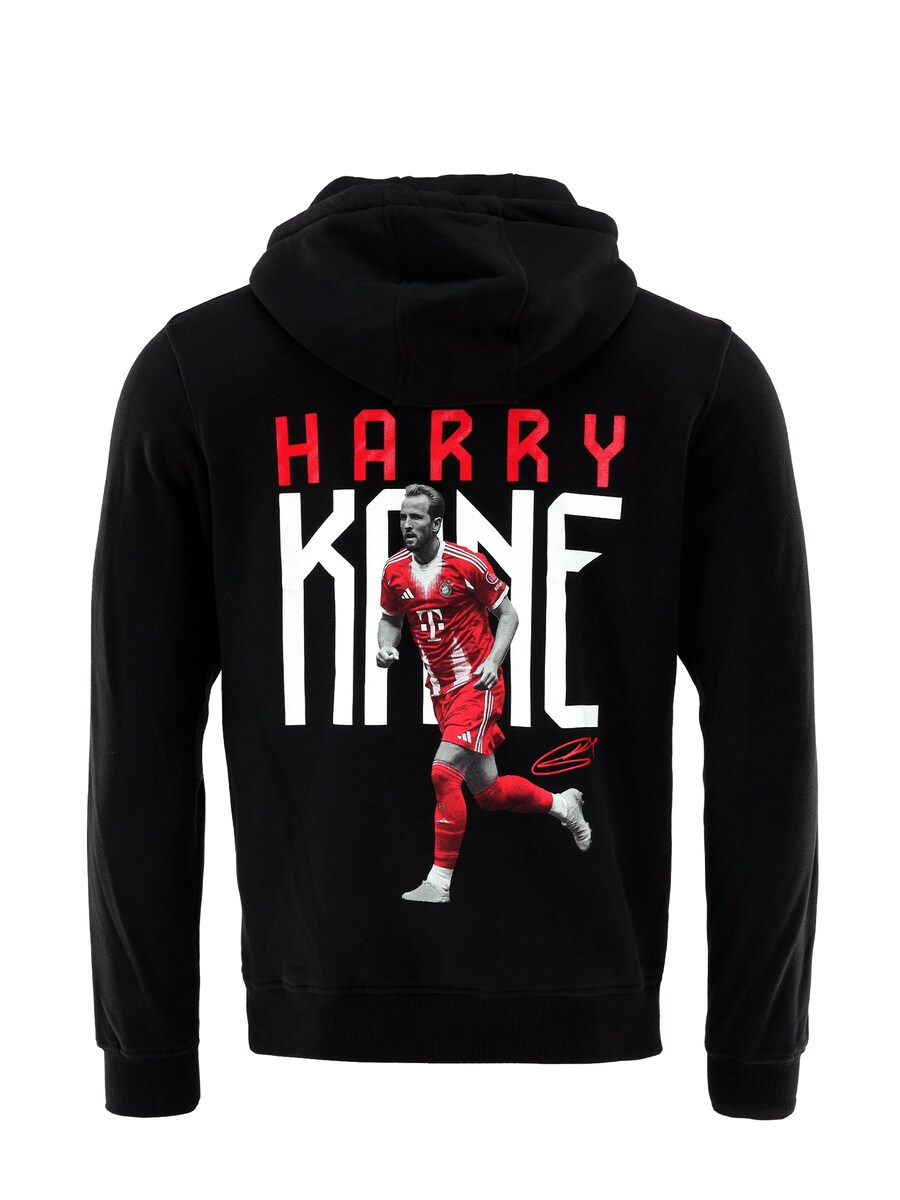 Свитер FC BAYERN MÜNCHEN, черный
Свитер FC BAYERN MÜNCHEN, черный