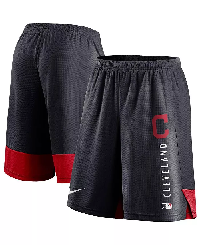 Мужские тренировочные шорты для занятий спортом Cleveland Indians Authentic Collection, цвет темно-синий Nike
Мужские тренировочные шорты для занятий спортом Cleveland Indians Authentic Collection, цвет темно-синий Nike