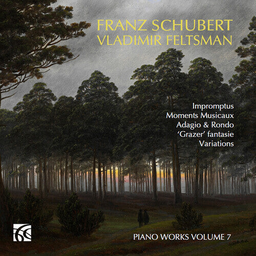 CD диск Schubert / Feltsman: Piano Works Vol. 7
CD диск Schubert / Feltsman: Piano Works Vol. 7