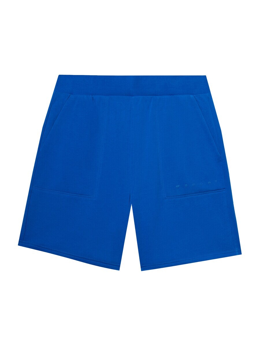 Спортивные брюки 4F Regular Workout Pants, цвет Cobalt blue
Спортивные брюки 4F Regular Workout Pants, цвет Cobalt blue