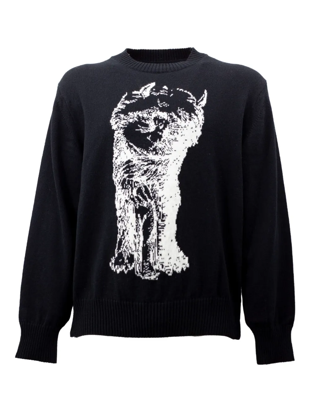 Свитер с круглым вырезом и кошачьим принтом SACAI, черный
Свитер с круглым вырезом и кошачьим принтом SACAI, черный
