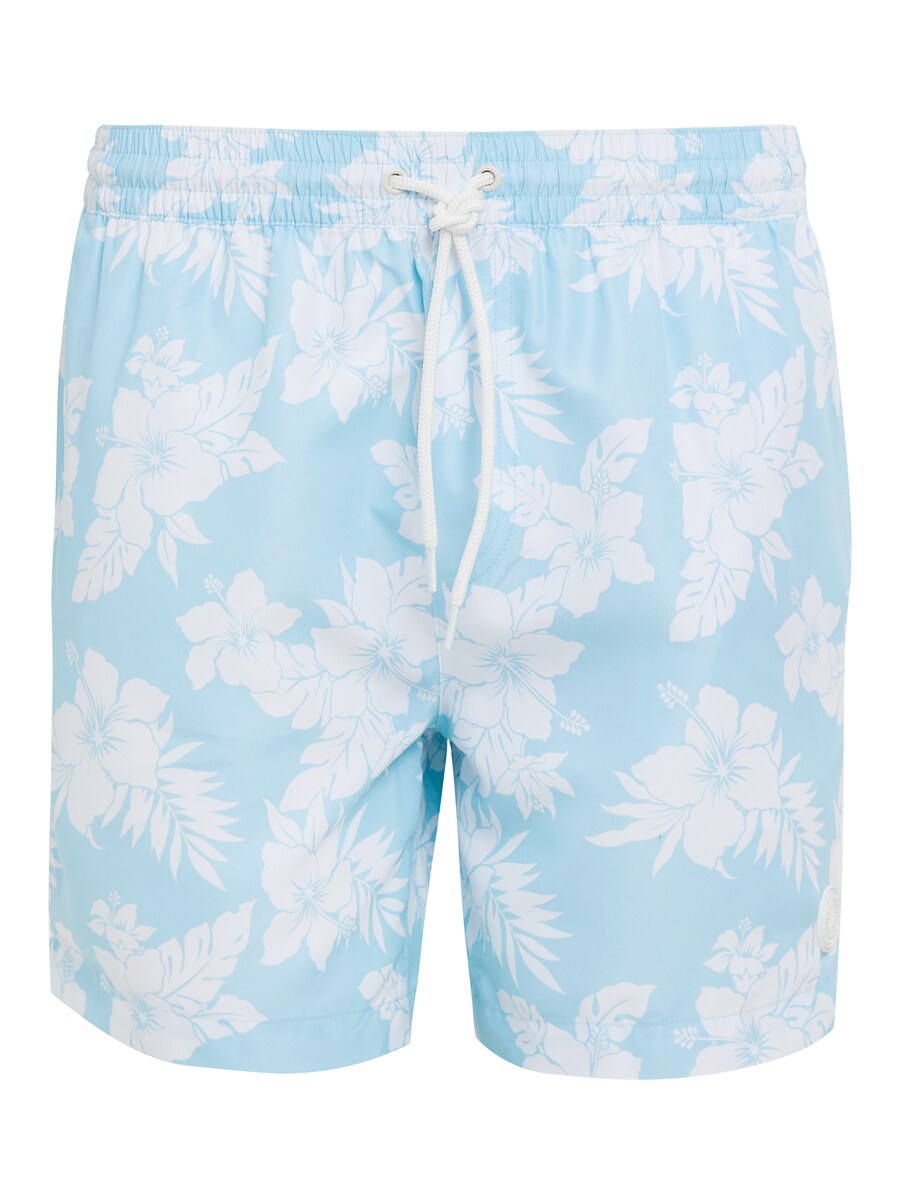 Шорты для серфинга Threadbare Sunset, небесно-голубой
Шорты для серфинга Threadbare Sunset, небесно-голубой