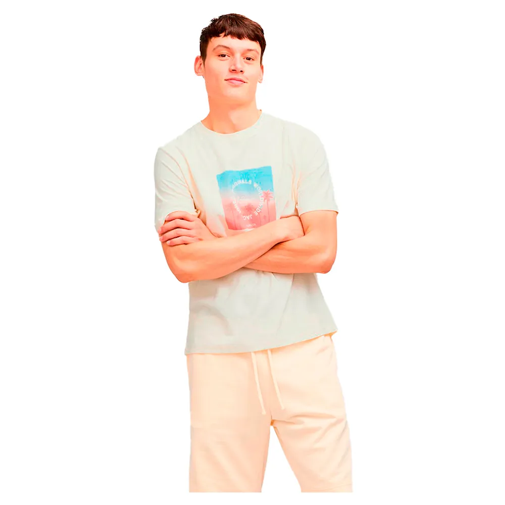 Футболка Jack & Jones Aruba Sunset Branding, белый
Футболка Jack & Jones Aruba Sunset Branding, белый