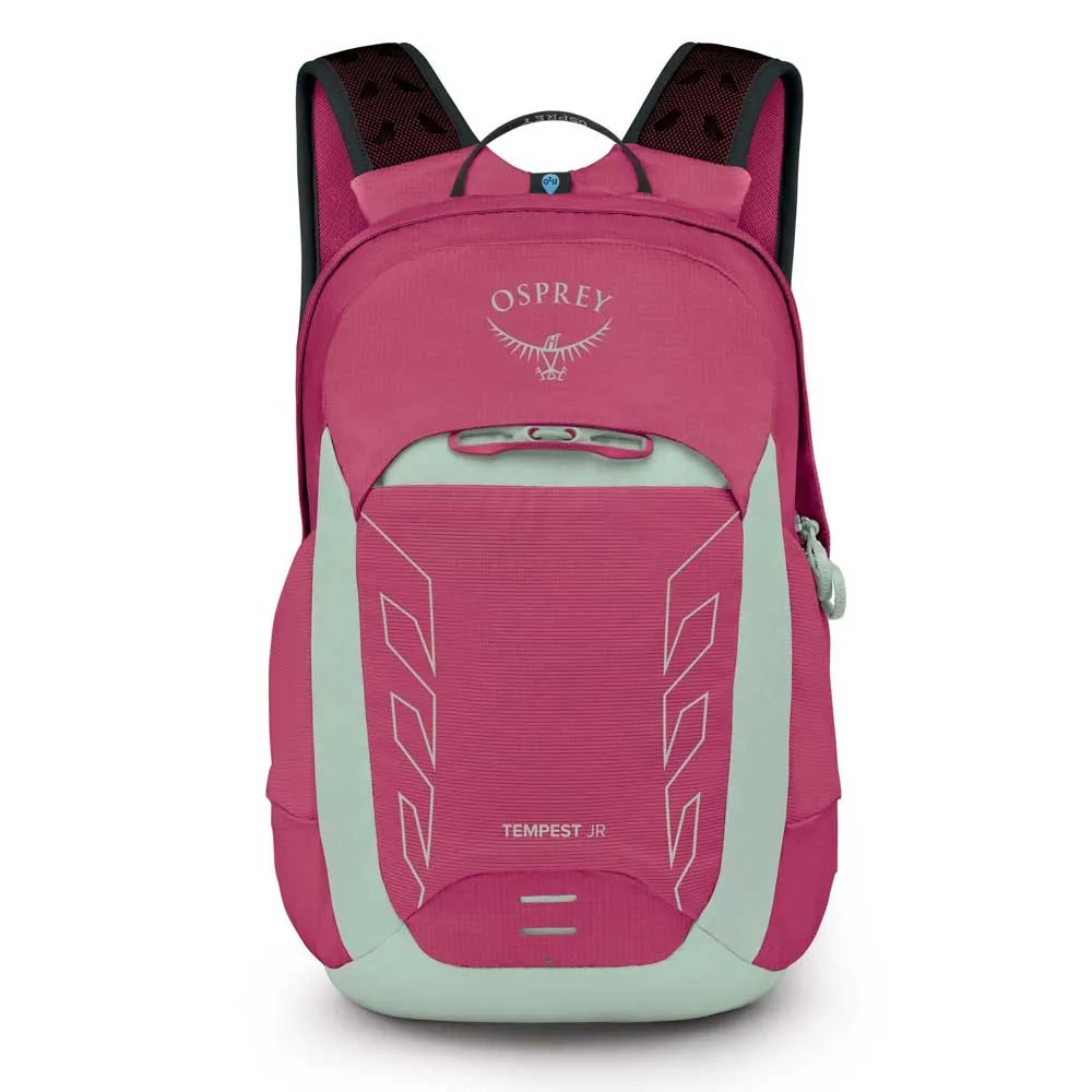 Рюкзак Osprey Tempest Junior 14L Junior, розовый
Рюкзак Osprey Tempest Junior 14L Junior, розовый