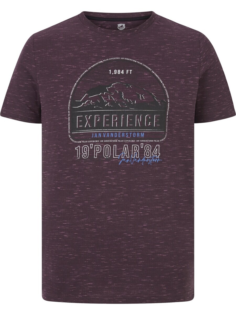 Футболка Jan Vanderstorm Perdalson, темно-красный
Футболка Jan Vanderstorm Perdalson, темно-красный