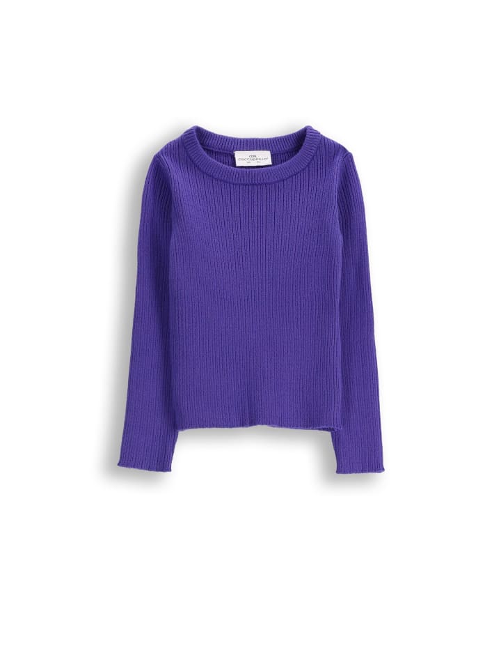Свитер Coccodrillo, фиолетовый
Свитер Coccodrillo, фиолетовый