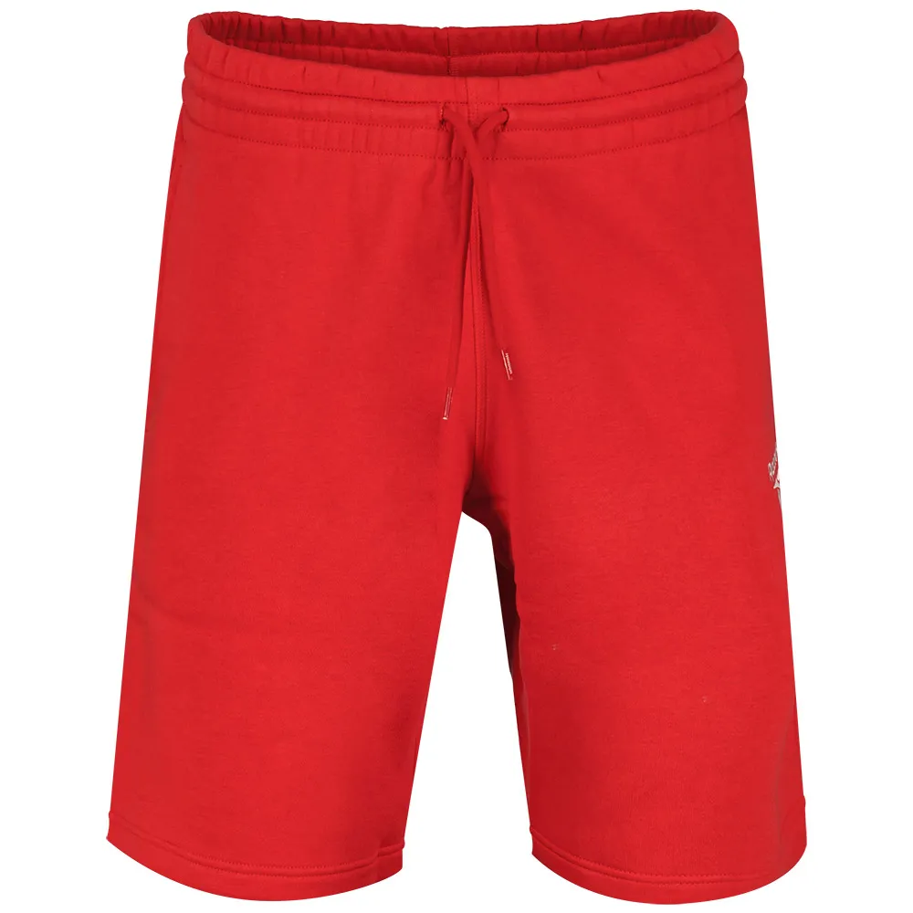 Спортивные шорты Reebok Identity Small Logo, красный
Спортивные шорты Reebok Identity Small Logo, красный